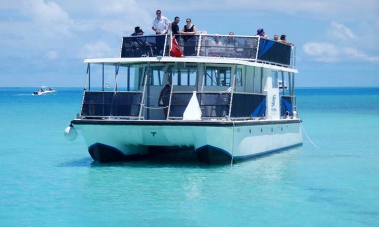 bermuda catamaran rental hamilton boat rental sailo hamilton bm motor yacht bermuda catamaran rental hamilton boat rental sailo hamilton bm motor yacht