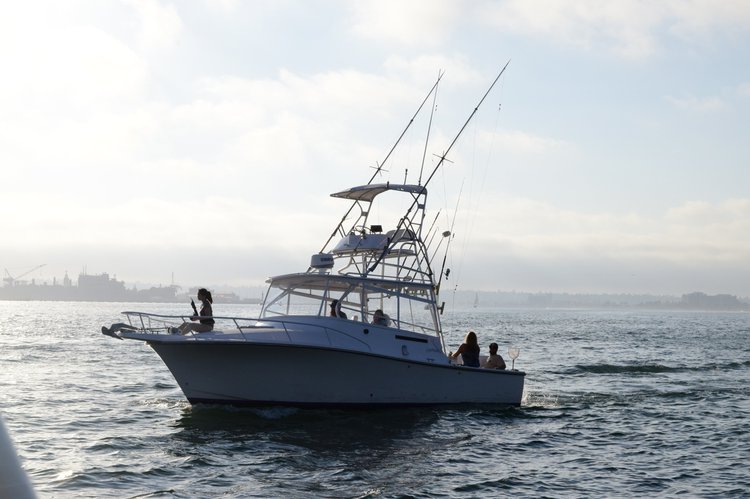 motorboat rental san diego boat and yacht rental in san diego check sailo s best offers motorboat rental san diego boat and yacht rental in san diego check sailo s best offers