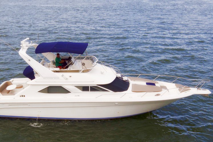 Miami 44 Sea Ray Flybridge Motor 44 0 Boat Rental 11813 Sailo