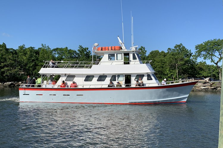 Dmr Saltwater Fishing 5309 Luxury Motor Boat Rental Flushing Ny Sailo